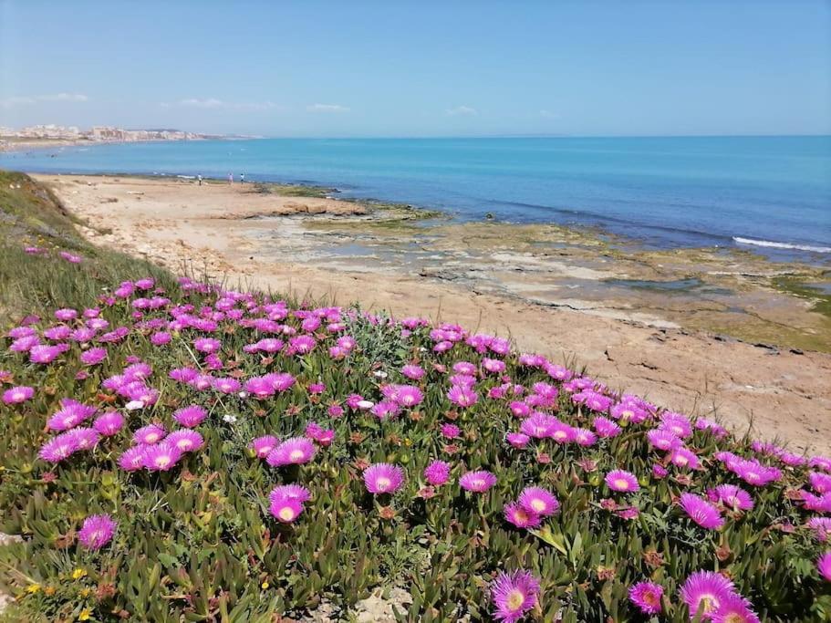 Brand New Apartment. 400 Meters Best Beach Torrevieja Esterno foto