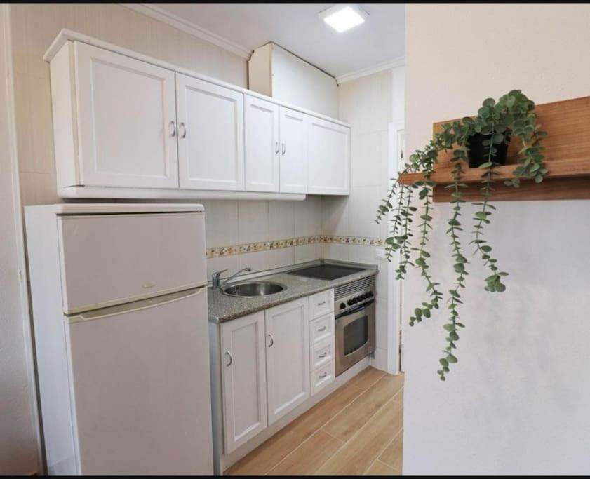 Brand New Apartment. 400 Meters Best Beach Torrevieja Esterno foto